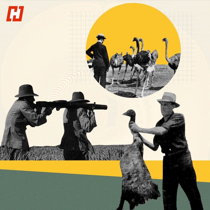 Australia Waged A War Against Emu Birds — And Lost