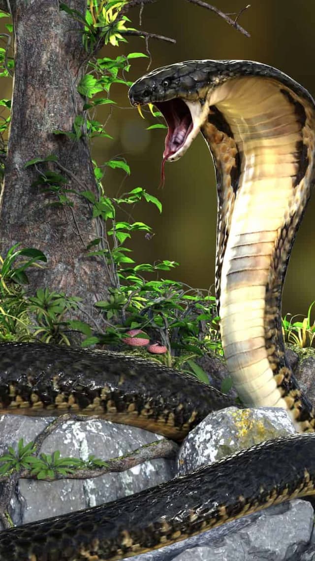 Snakes That Eat Their Own Kind – A Deadly Instinct