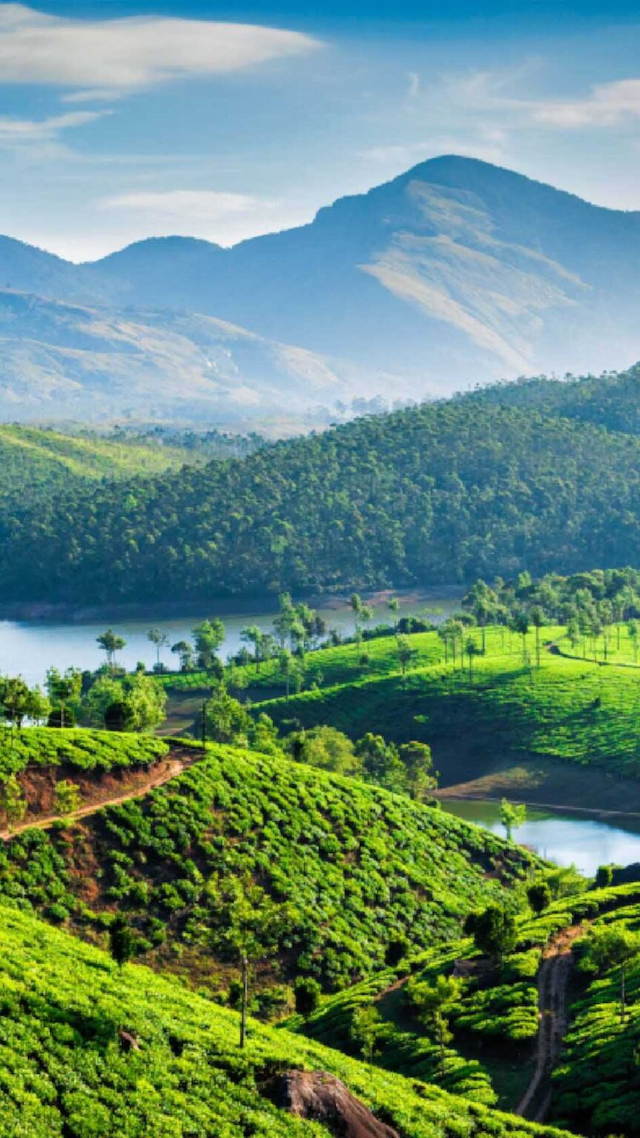Venture into the Western Ghats