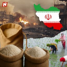 How the Israel–Iran war, 2,500 km away, is stressing out Punjab’s farmers