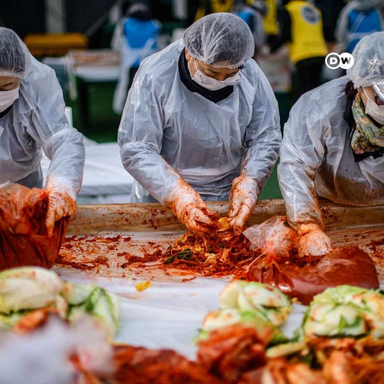 Why is kimchi so healthy?