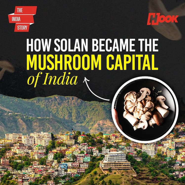 How Solan quietly became India’s mushroom capital How Solan quietly became India’s mushroom capital